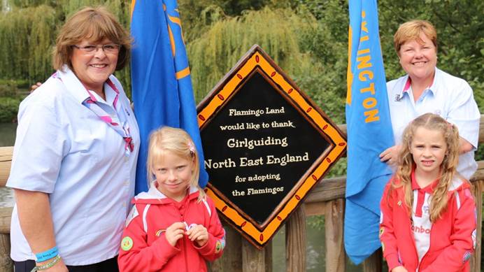 Rainbows and Guide leaders unveiling a plaque thanking Girlguiding for adopting flamingos at Flamingo Land