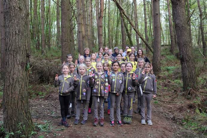21 Brownies, in uniform, and 7 volunteers do the promise sign while stood in a forest