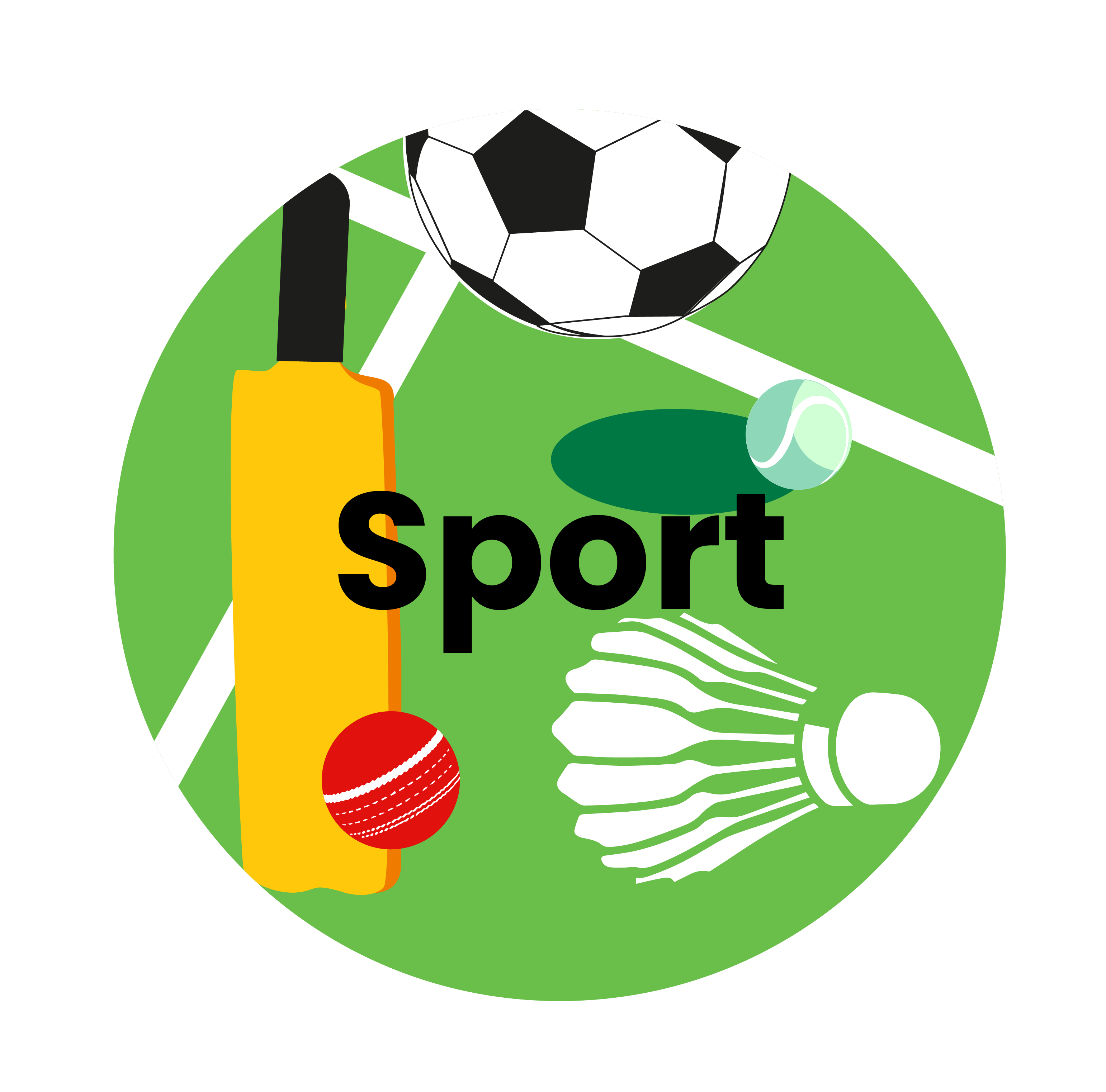 sport theme icon.png